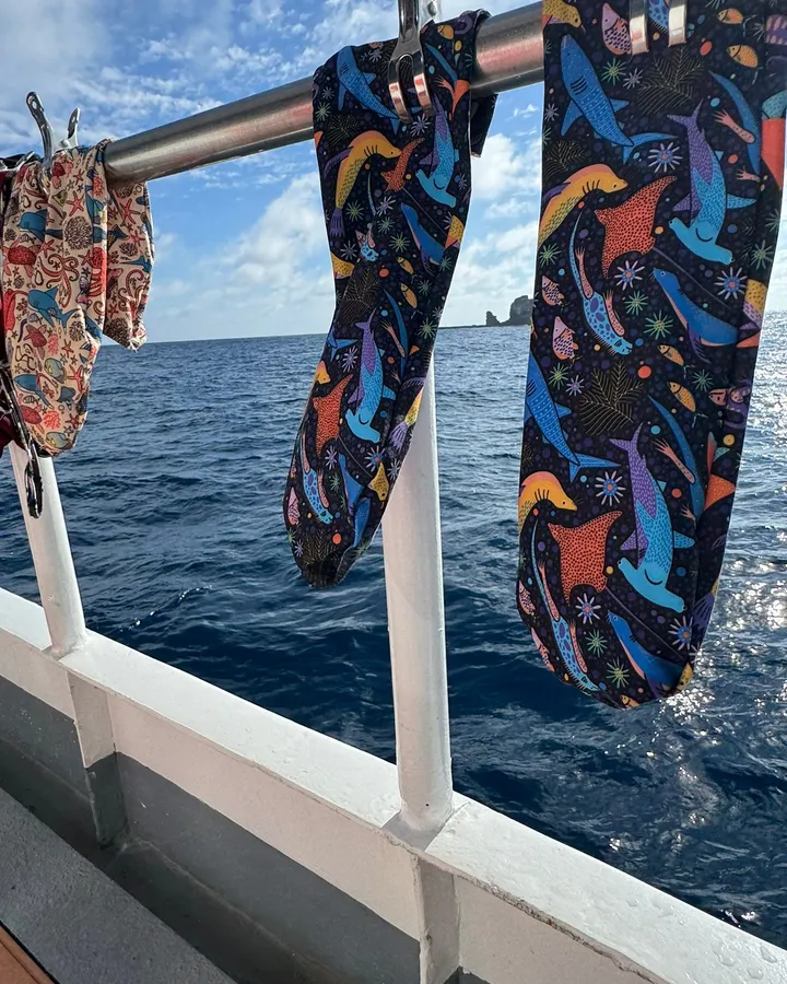 soggylife dive socks in a marine print, drying on a boat railing above the ocean