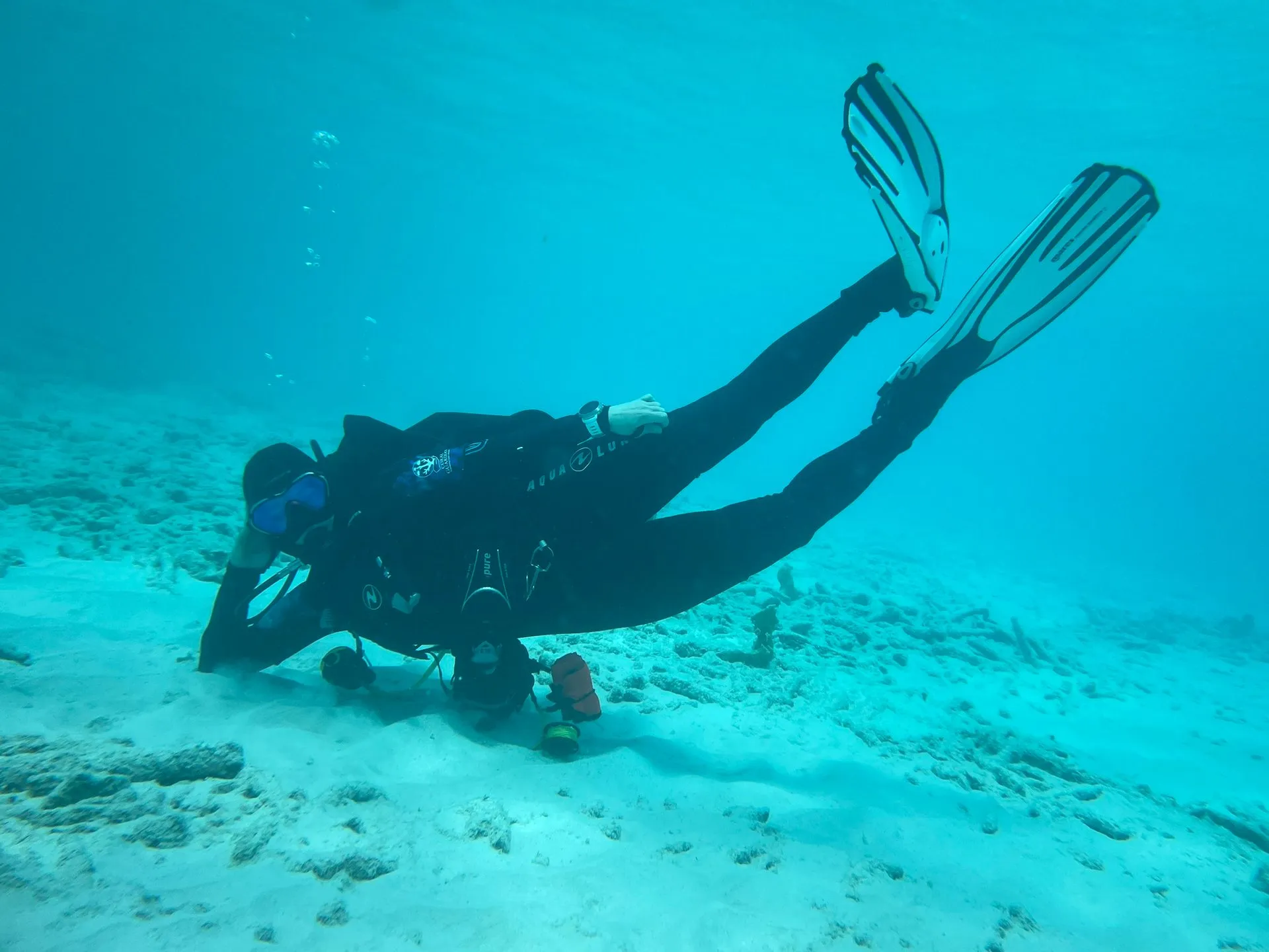 Diver hovering over the reef, nose to the sand