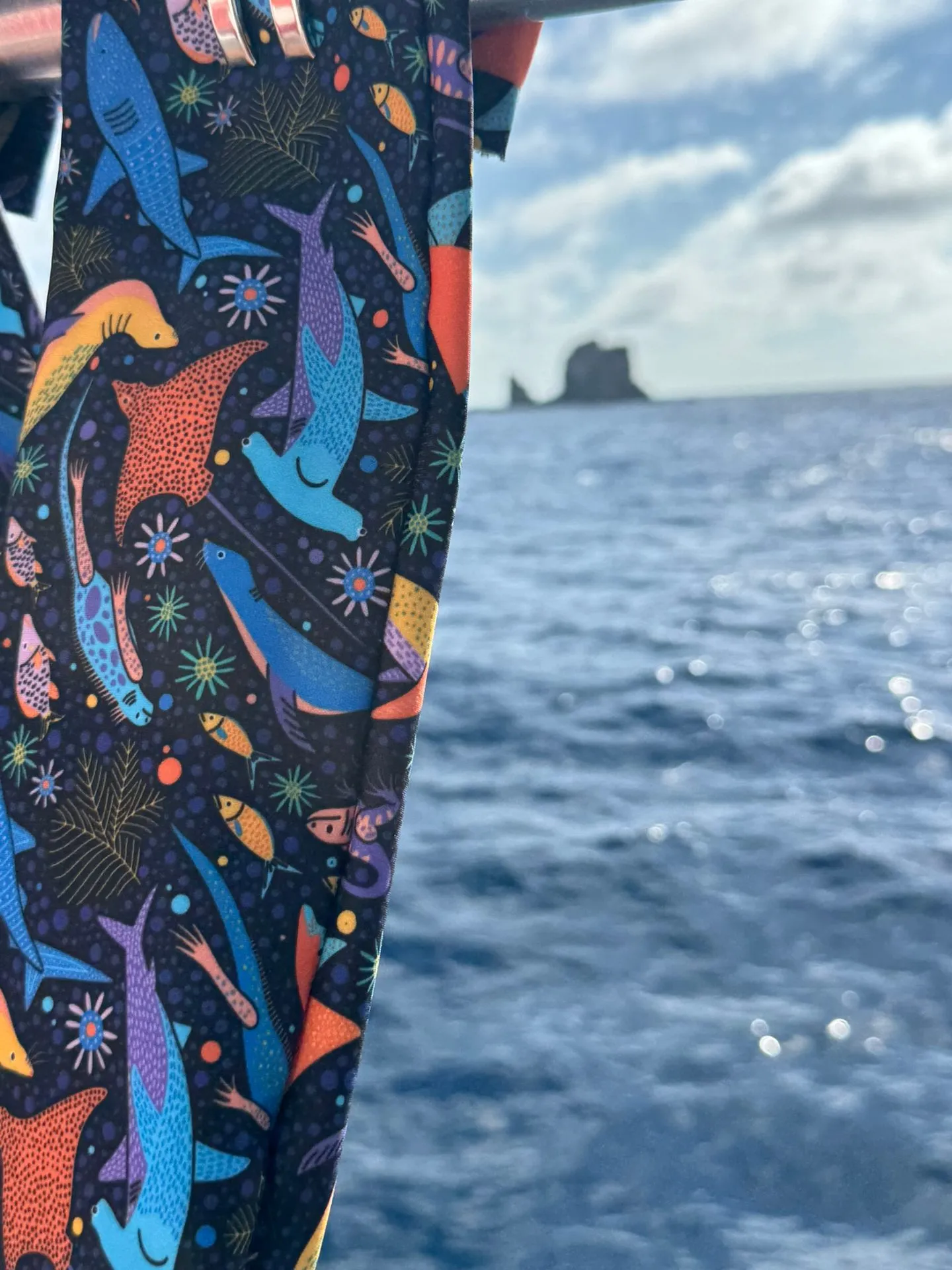 Close-up of the printed prototype fabric with the ocean in the background