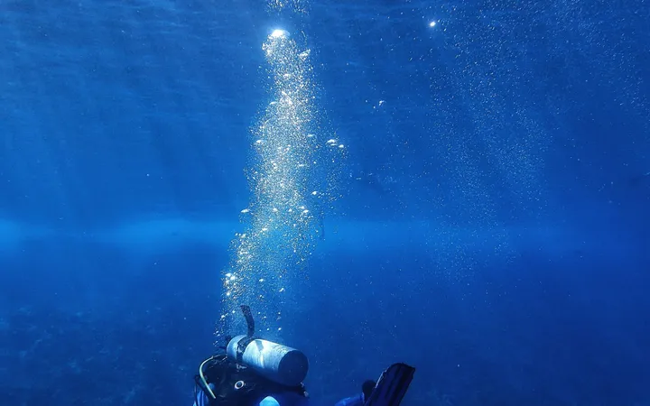 Snorkelers at the sunlit ocean surface