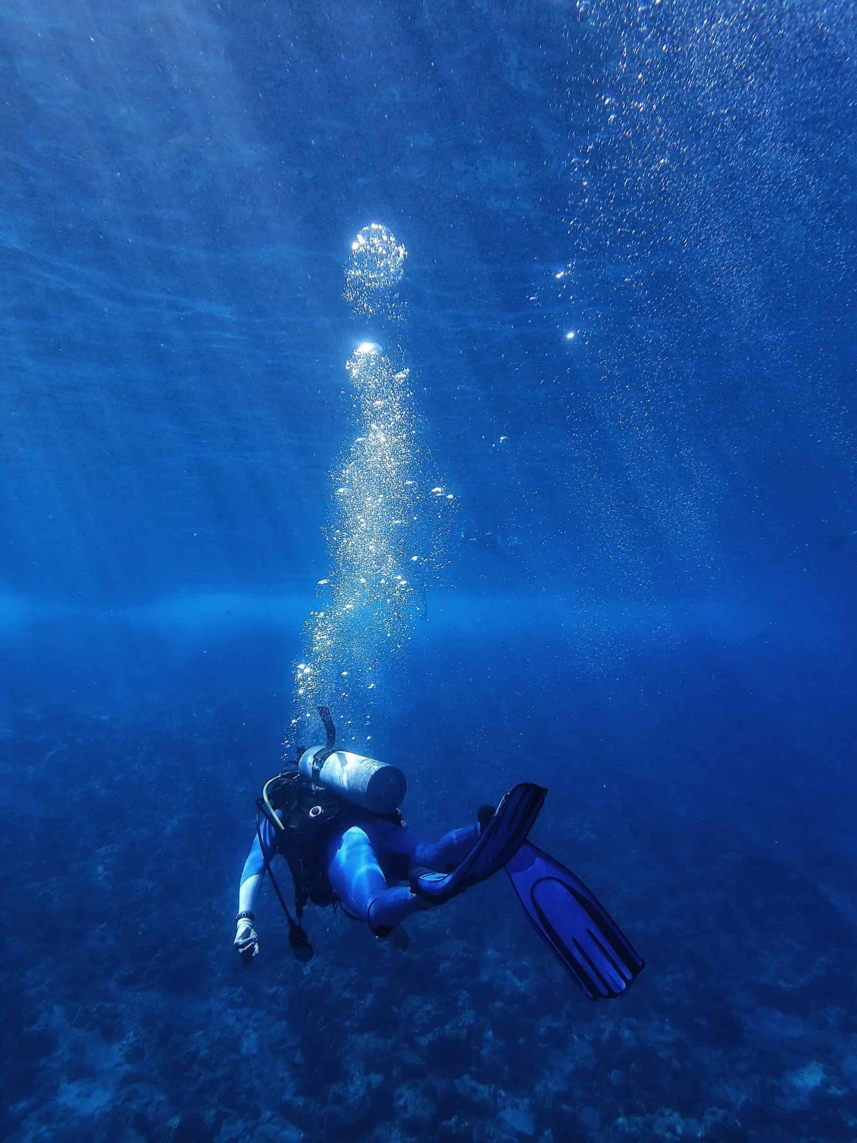 Snorkelers at the sunlit ocean surface